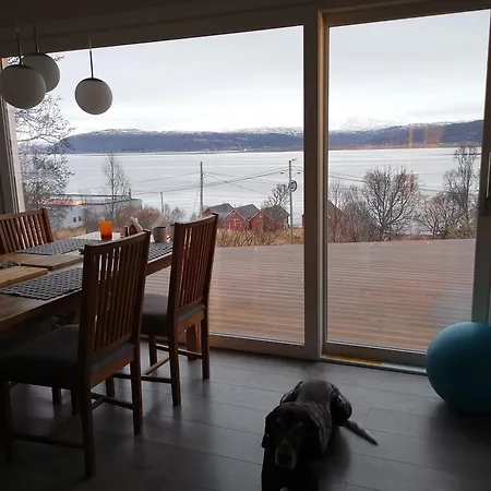 Country Villa On Kvaloya, Hot Tube, Northern Lights, Near Tromso 빌라 트롬쇠