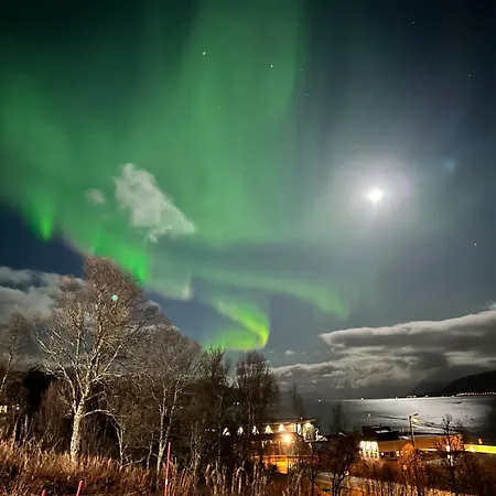 Country On Kvaløya, Hot Tube, Northern Lights, Near *