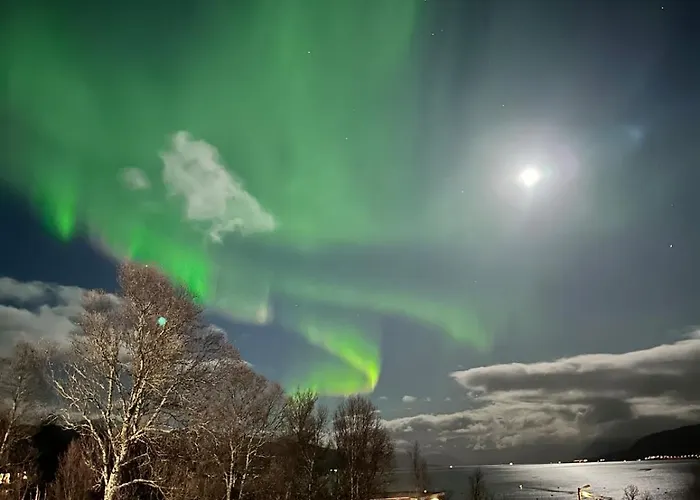 Country Villa On Kvaloya, Hot Tube, Northern Lights, Near Tromso *